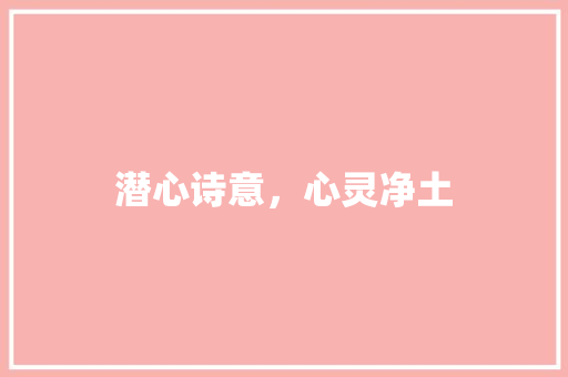 潜心诗意，心灵净土