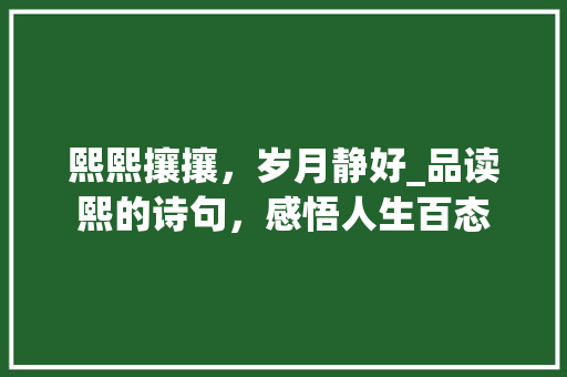 熙熙攘攘，岁月静好_品读熙的诗句，感悟人生百态