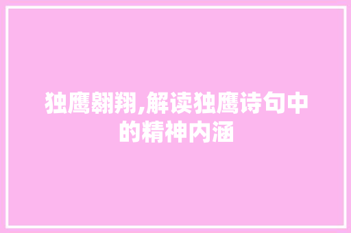 独鹰翱翔,解读独鹰诗句中的精神内涵