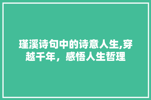 瑾溪诗句中的诗意人生,穿越千年，感悟人生哲理