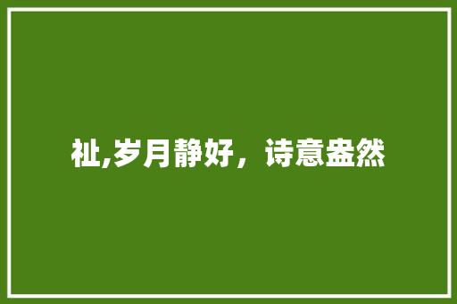 祉,岁月静好，诗意盎然