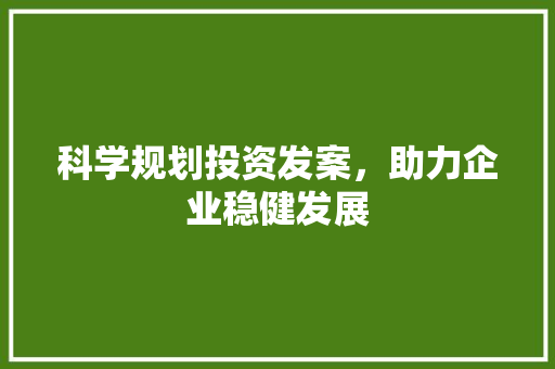 科学规划投资发案，助力企业稳健发展