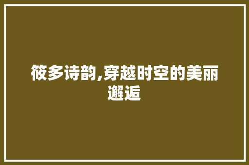 筱多诗韵,穿越时空的美丽邂逅 成语汇编