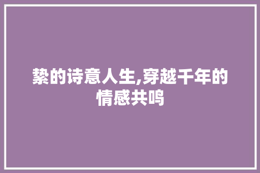 絷的诗意人生,穿越千年的情感共鸣 近义词汇