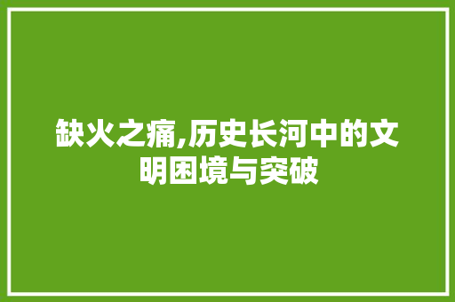缺火之痛,历史长河中的文明困境与突破