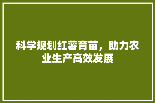 科学规划红薯育苗，助力农业生产高效发展