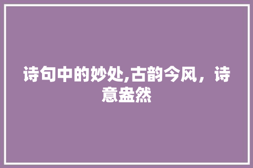 诗句中的妙处,古韵今风，诗意盎然