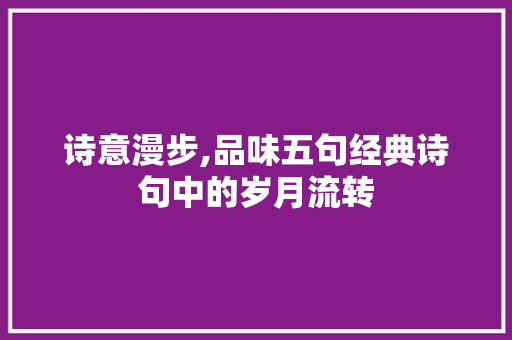 诗意漫步,品味五句经典诗句中的岁月流转