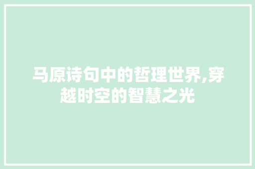 马原诗句中的哲理世界,穿越时空的智慧之光