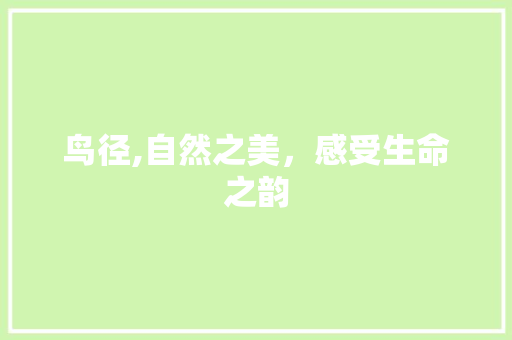 鸟径,自然之美，感受生命之韵