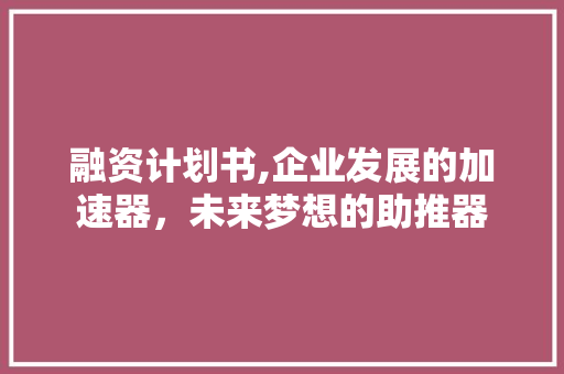 融资计划书,企业发展的加速器，未来梦想的助推器