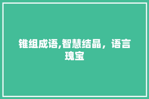 锥组成语,智慧结晶，语言瑰宝