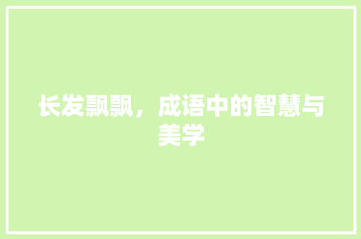 长发飘飘，成语中的智慧与美学