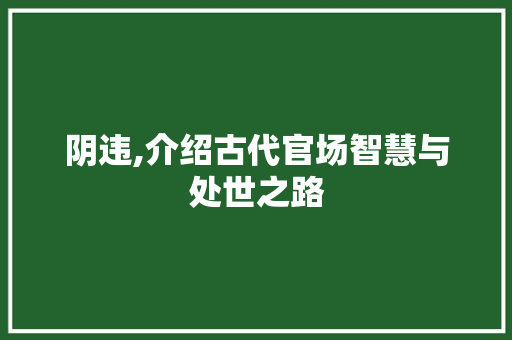 阴违,介绍古代官场智慧与处世之路