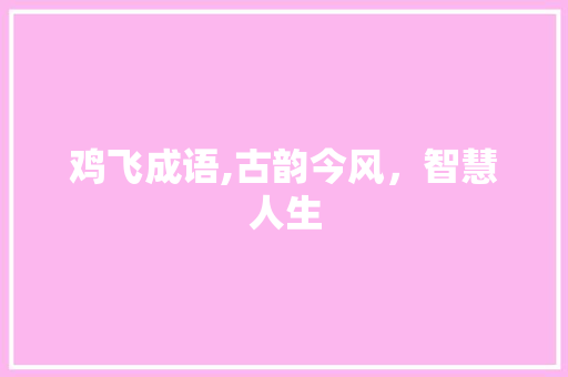 鸡飞成语,古韵今风，智慧人生