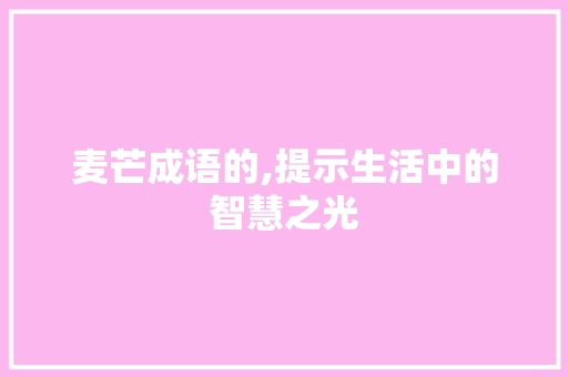 麦芒成语的,提示生活中的智慧之光