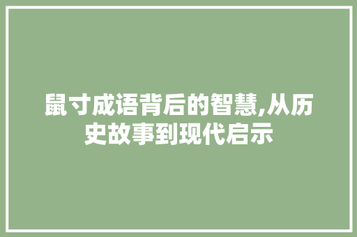 鼠寸成语背后的智慧,从历史故事到现代启示 短语