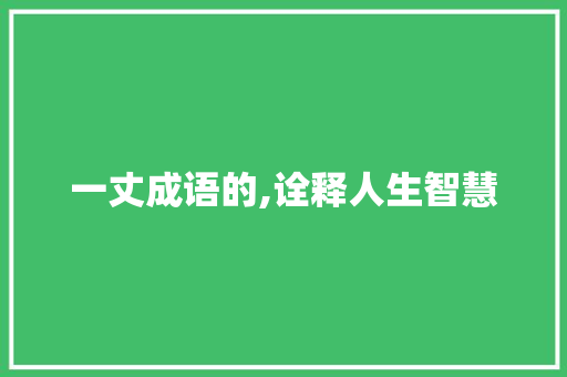 一丈成语的,诠释人生智慧