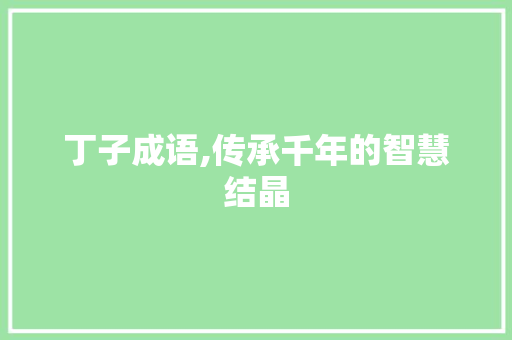丁子成语,传承千年的智慧结晶