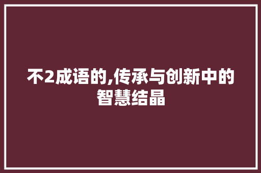 不2成语的,传承与创新中的智慧结晶