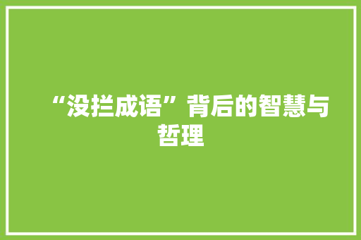 “没拦成语”背后的智慧与哲理