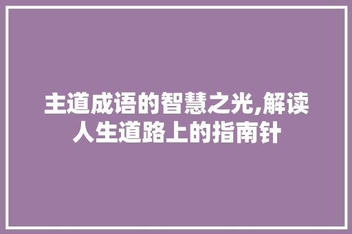 主道成语的智慧之光,解读人生道路上的指南针