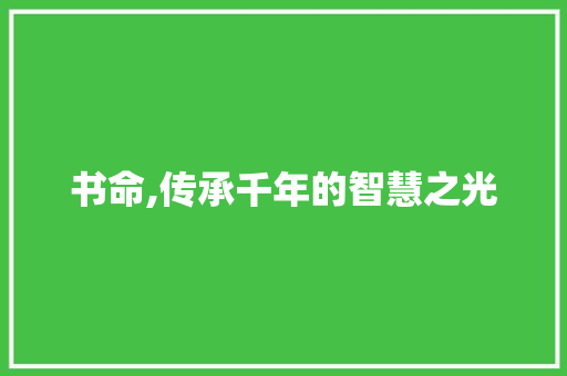 书命,传承千年的智慧之光