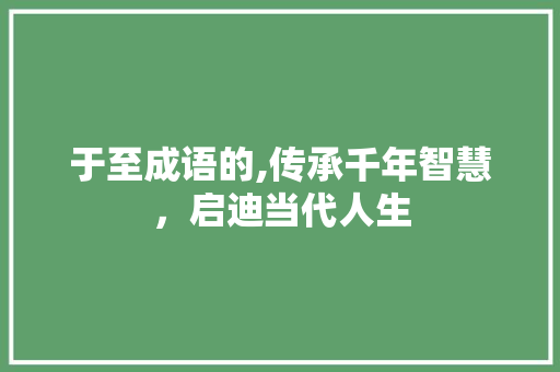 于至成语的,传承千年智慧，启迪当代人生