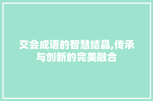 交会成语的智慧结晶,传承与创新的完美融合
