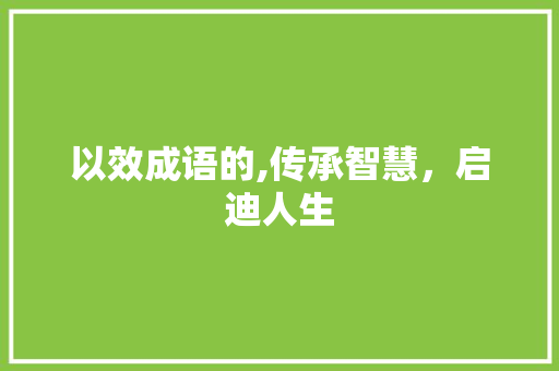 以效成语的,传承智慧，启迪人生
