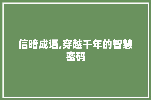 信暗成语,穿越千年的智慧密码