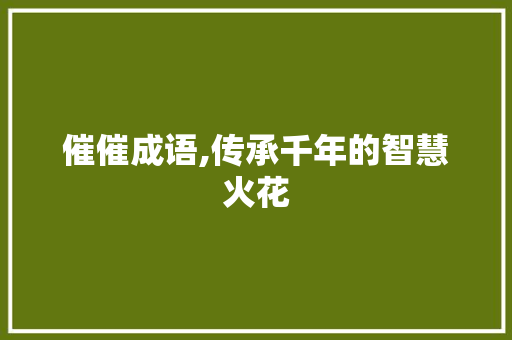 催催成语,传承千年的智慧火花