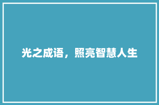 光之成语，照亮智慧人生