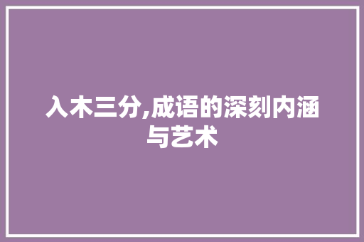 入木三分,成语的深刻内涵与艺术