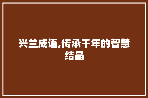 兴兰成语,传承千年的智慧结晶