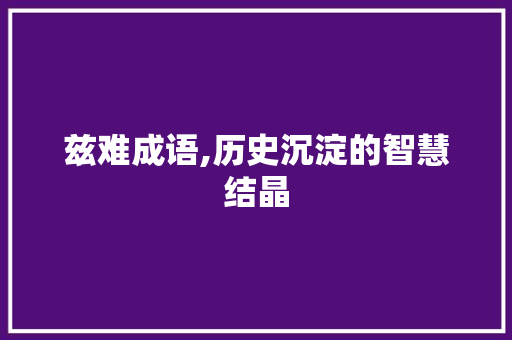 兹难成语,历史沉淀的智慧结晶