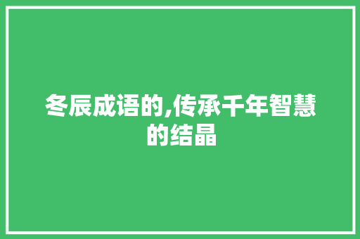 冬辰成语的,传承千年智慧的结晶 英语单词