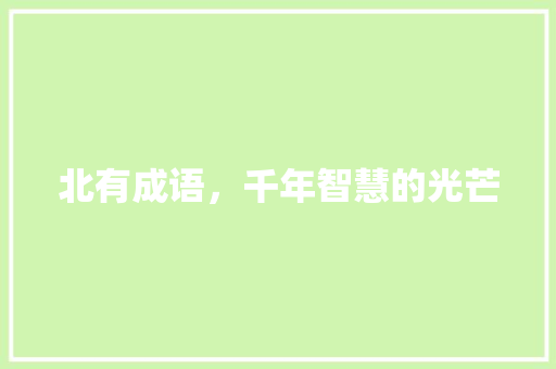 北有成语，千年智慧的光芒