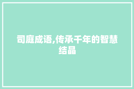 司庭成语,传承千年的智慧结晶