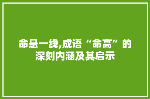 命悬一线,成语“命高”的深刻内涵及其启示