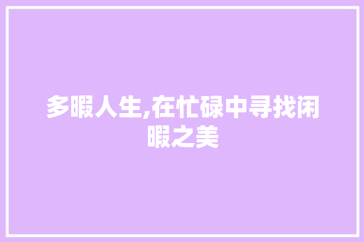 多暇人生,在忙碌中寻找闲暇之美