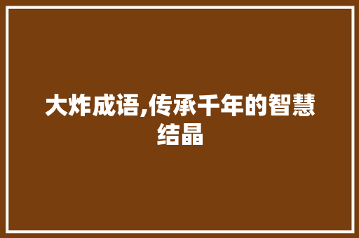 大炸成语,传承千年的智慧结晶