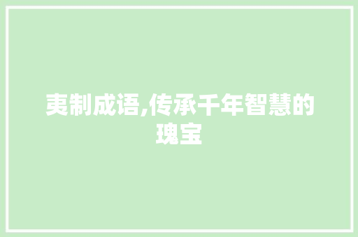 夷制成语,传承千年智慧的瑰宝 英语单词