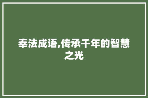 奉法成语,传承千年的智慧之光