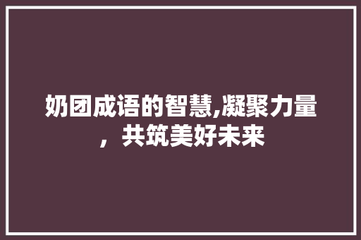 奶团成语的智慧,凝聚力量，共筑美好未来 诗词佳句
