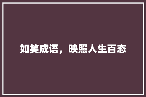 如笑成语，映照人生百态