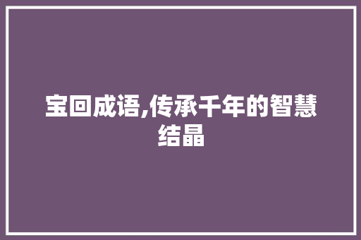 宝回成语,传承千年的智慧结晶