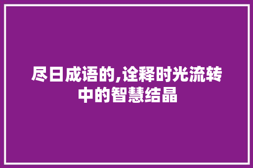 尽日成语的,诠释时光流转中的智慧结晶