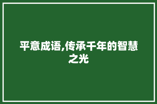 平意成语,传承千年的智慧之光 古代典籍