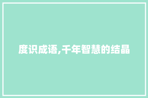 度识成语,千年智慧的结晶